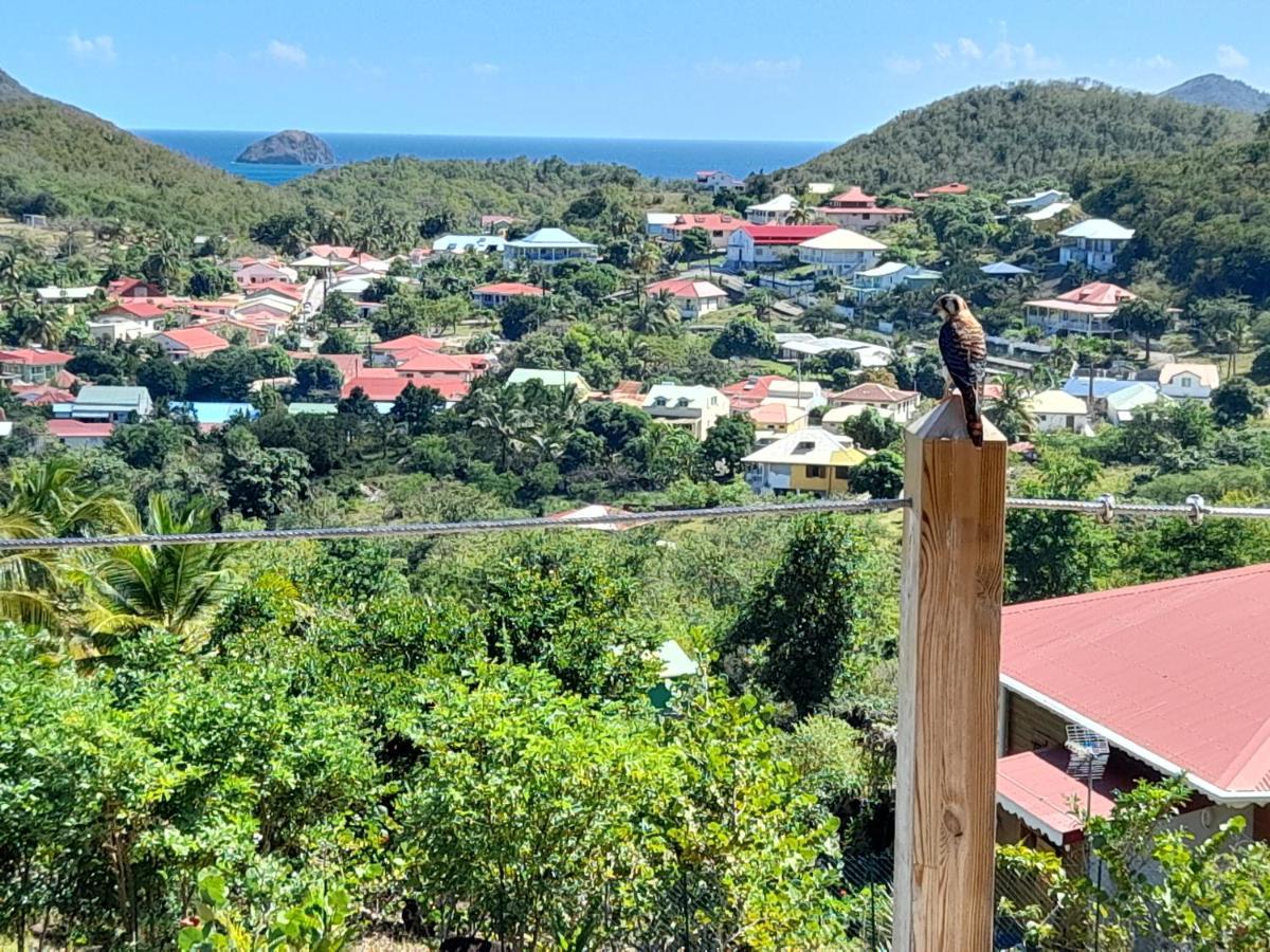 Villa KAZ ANOLI vue époustouflante sur la baie Terre-de-Bas Esterno foto
